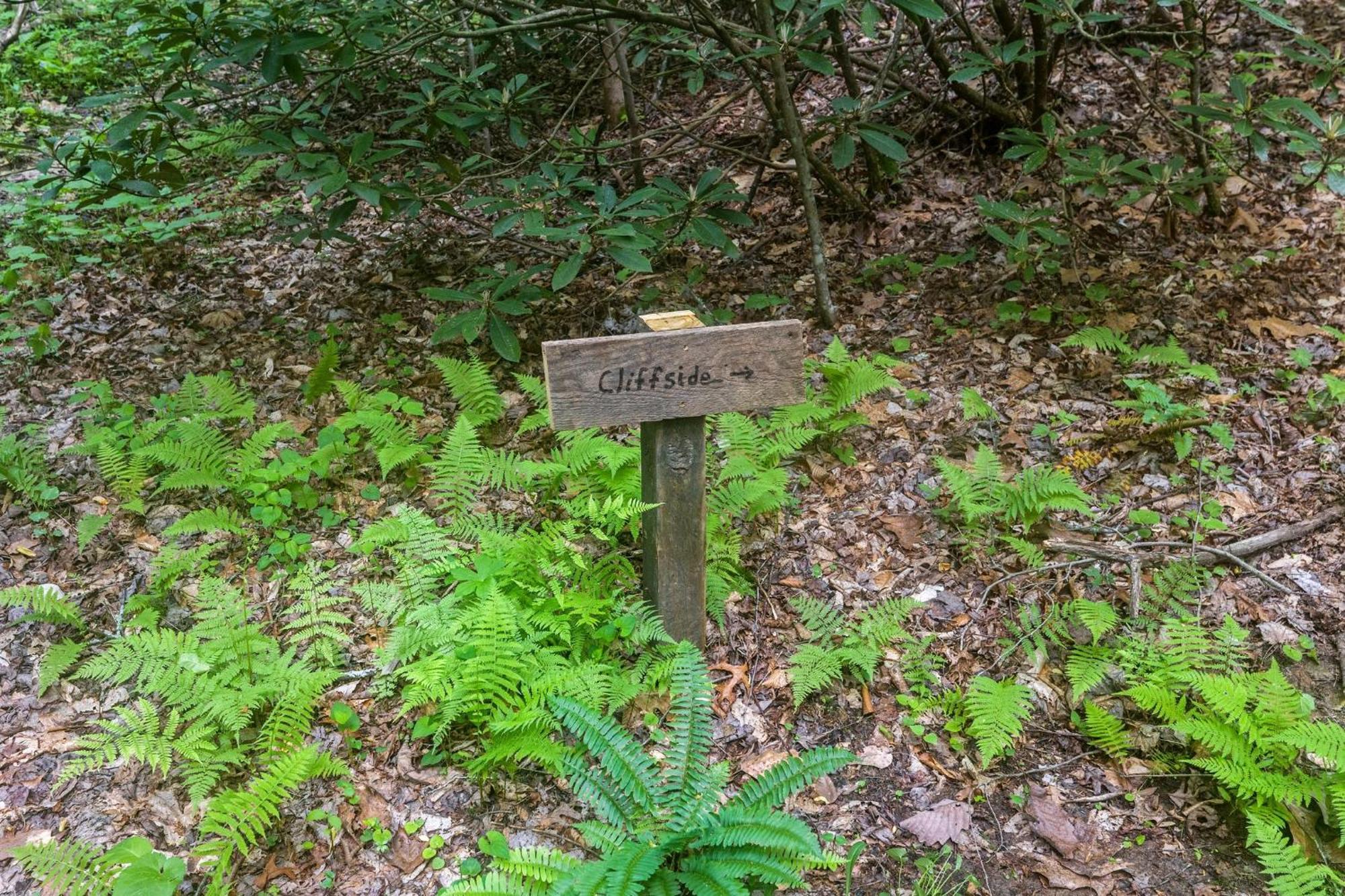 Villa Beech Timber No Pet Fee Beattyville Esterno foto