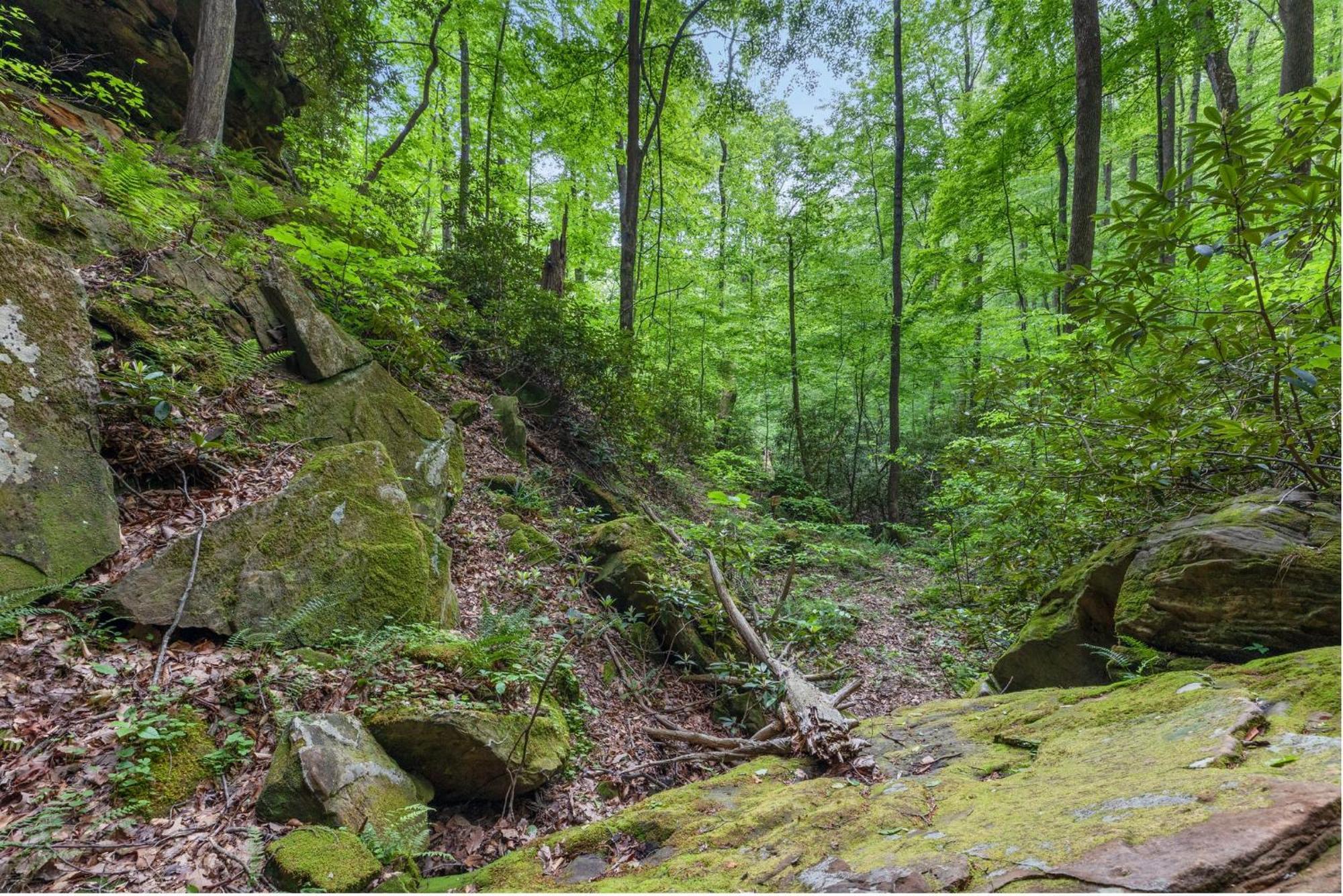 Villa Beech Timber No Pet Fee Beattyville Esterno foto