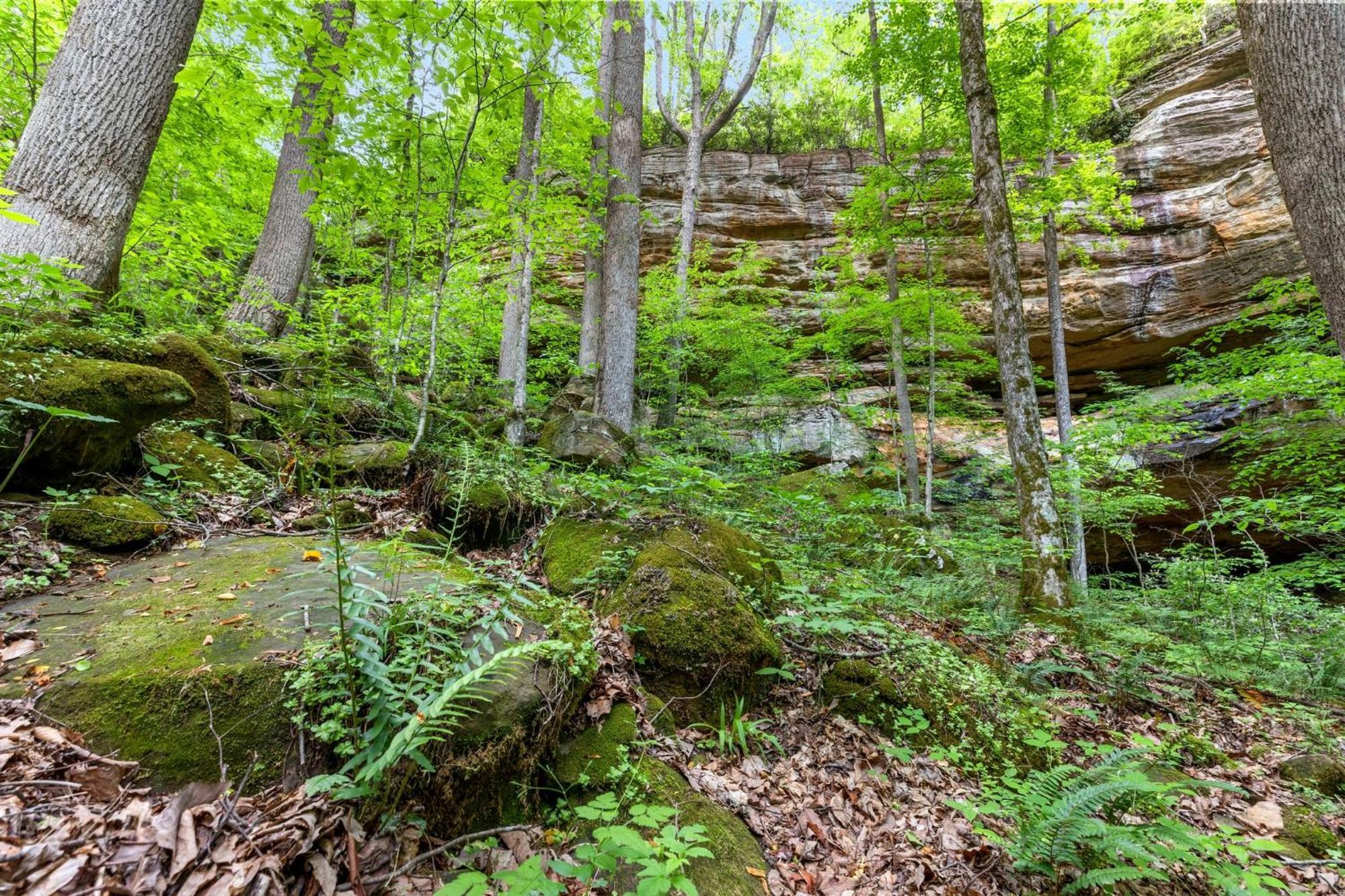 Villa Beech Timber No Pet Fee Beattyville Esterno foto