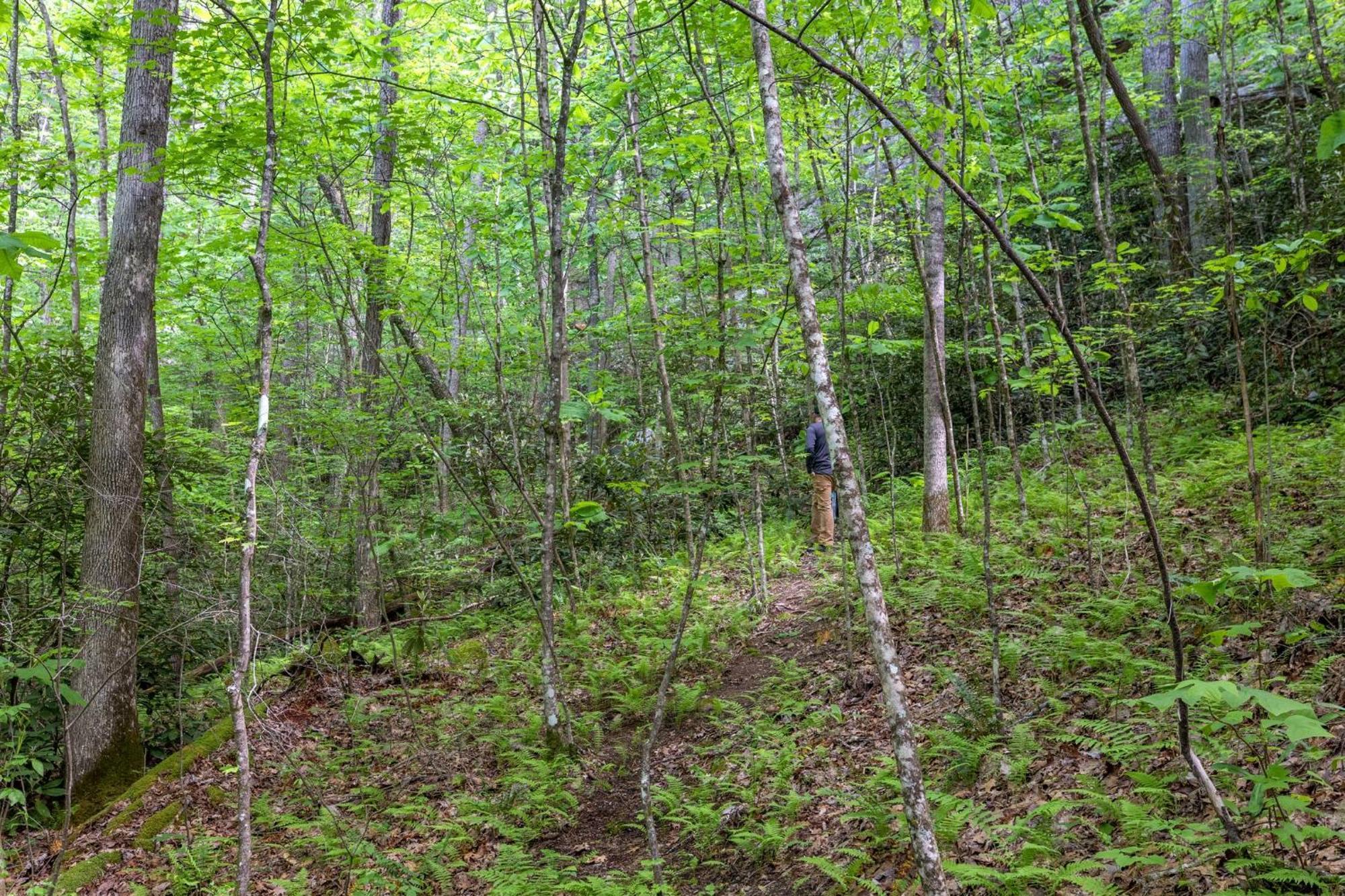 Villa Beech Timber No Pet Fee Beattyville Esterno foto